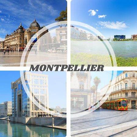 Le Calderini Appart - Face Plage Wifi Et Park Gratuit Calme - Resid Le Surcouf -Top Pros Servicesconciergerie La Grande Motte Buitenkant foto